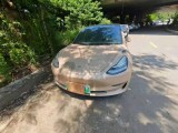 19年特斯拉MODEL 3