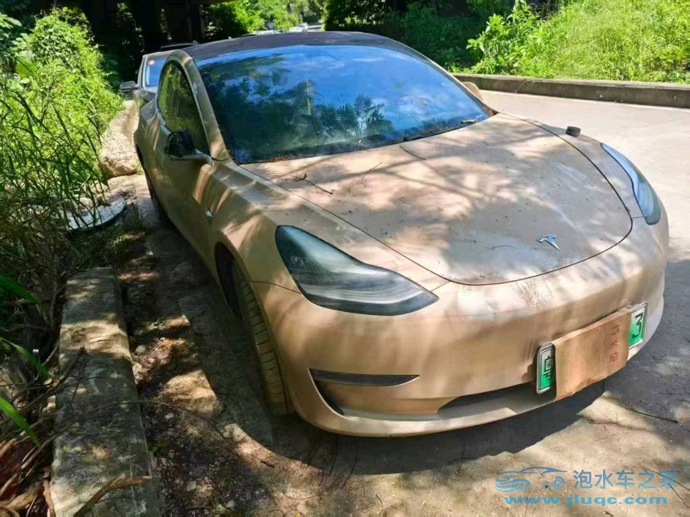 19年特斯拉MODEL 3