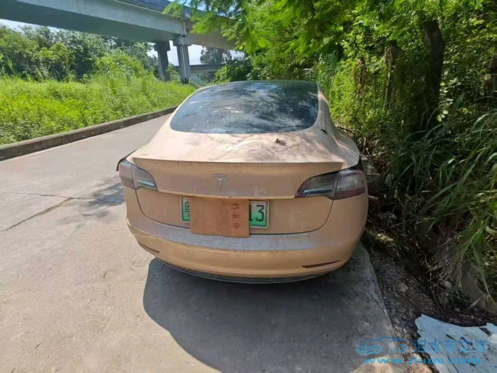 19年特斯拉MODEL 3