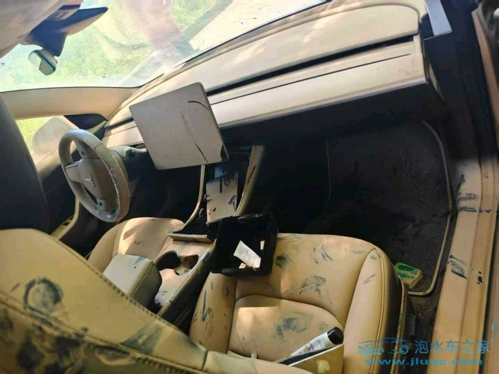 19年特斯拉MODEL 3