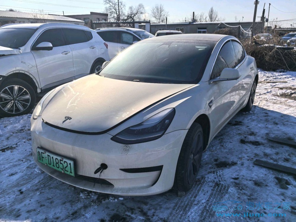 21年特斯拉MODEL 3泡水車
